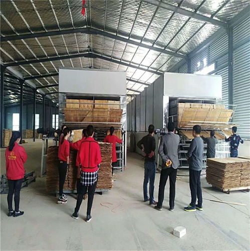 新密木材高频干燥 以服务为先，杭州在线咨询为您排忧解难